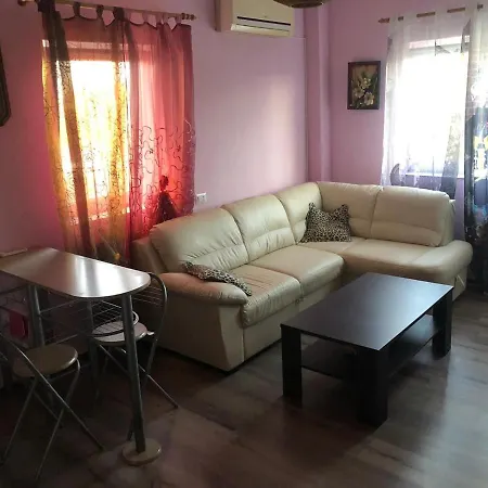 公寓 Apartament Erika 艾福雷诺德
